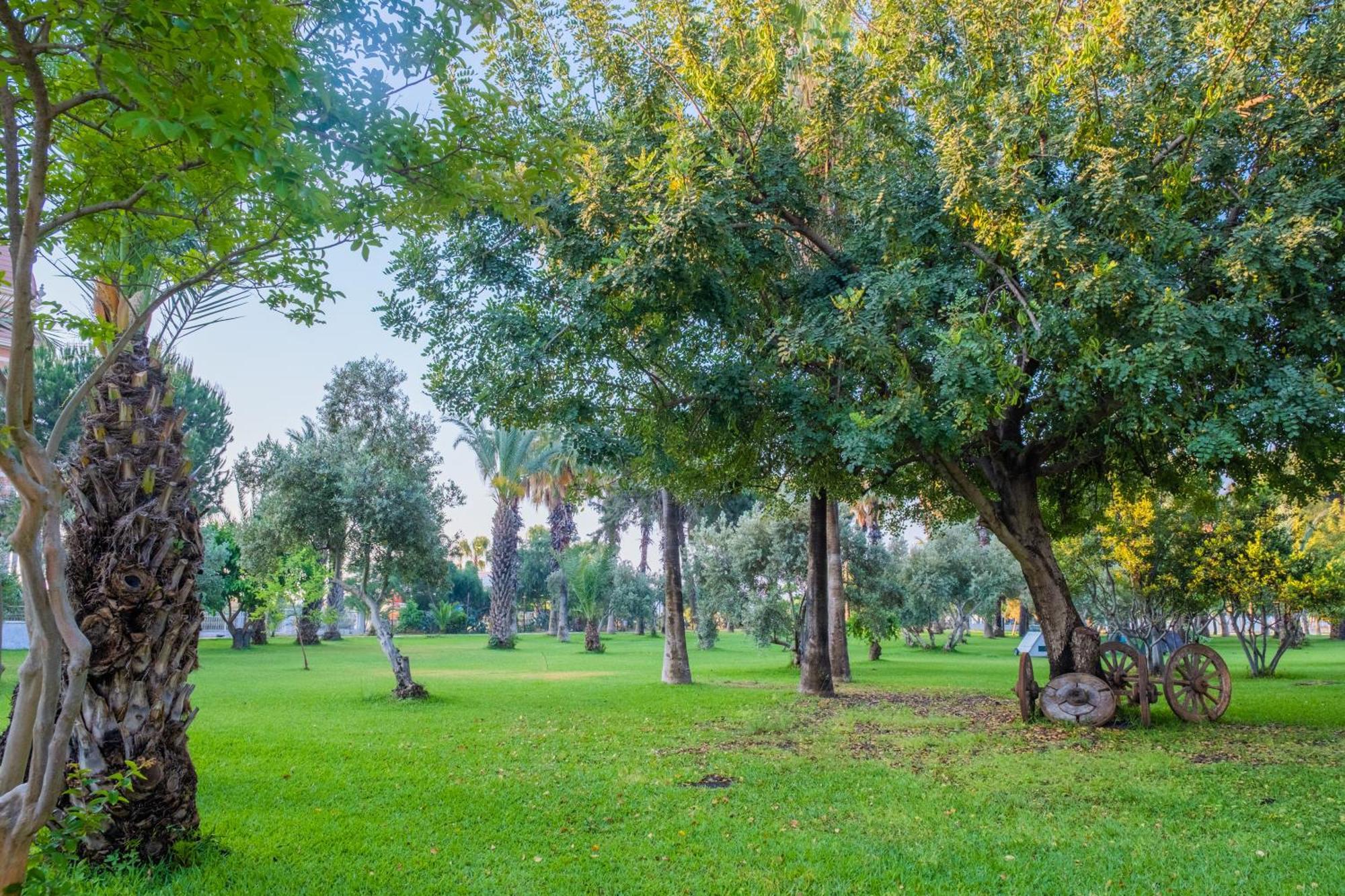 Sural Hotel سيدي المظهر الخارجي الصورة